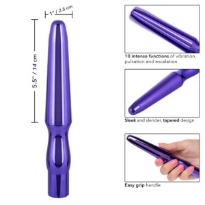Calexotics Rechargeable Tapered Anal Probe Purple SE 0524 25 2 716770106223 Info Detail.jpg